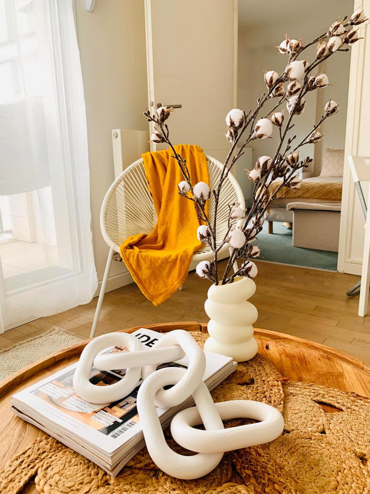 Le Bali Cosy House - T2 Lumineux Et Moderne En Plein Centre Ville De メゾン・アルフォール エクステリア 写真